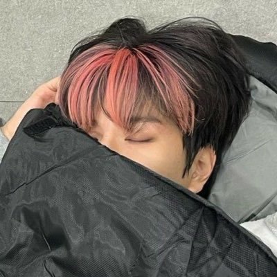 puppy ⋆˚｡𐔌u._.u𐦯⋆.