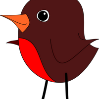 Sports News & Videos