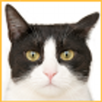 GEO🐾フランスの卵