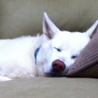 Deacon Bill Twellman