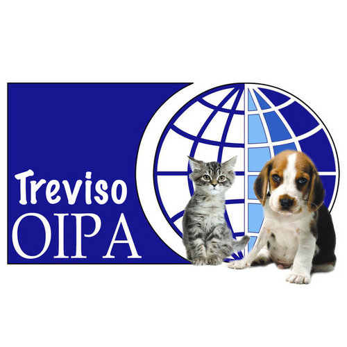 Oipa Treviso