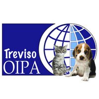 Oipa Treviso