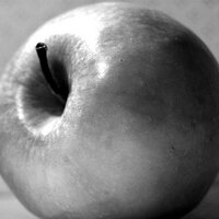 Professor Burlingame