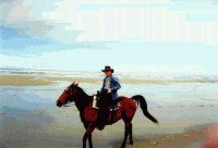 Dr. Tom Martin (Ph.D.)