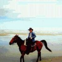 Dr. Tom Martin (Ph.D.)