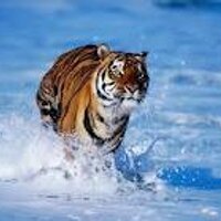 EDUARDO RUIZ MENDOZA