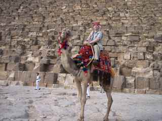 Steve 🐰 🥚 ✝️