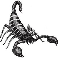 ياكاشف الهم