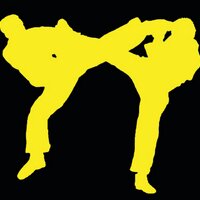 Dynamic Martial Arts