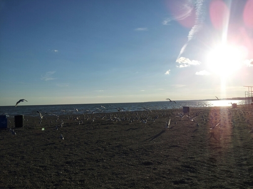 Barranquilla es tu ciudad