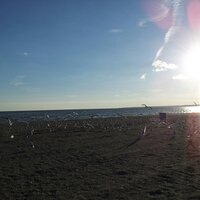 Barranquilla es tu ciudad