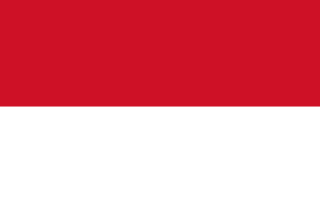 Indonesia Goverment