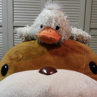 ♫山さ 🐘🍜🚗📚