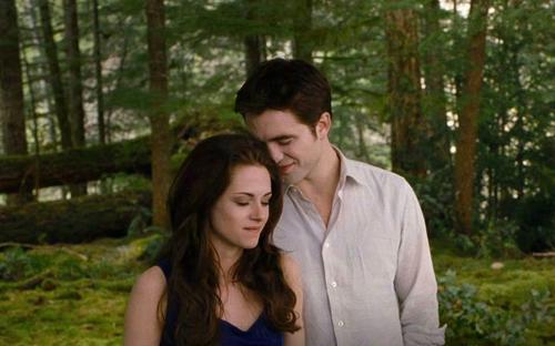 ♥Twilight Fans NL♥