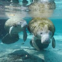 Dr ortho 33 #vacciné #jesuisdyslexique