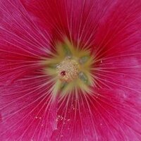 Jean Gautier 🐝🦋🐞 #Insoumis, Écolo et partageux