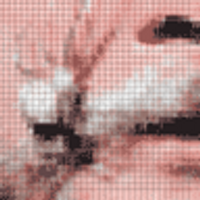 Механик электронно-вычислительных машин