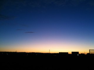 フッキー＠みかん猫