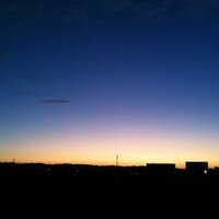 フッキー＠みかん猫