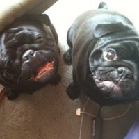 FirePutinLackeys🌊🇺🇲🌊