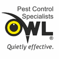 Owl Pest Control Dublin