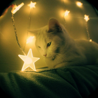 時琉@AI設計&分析