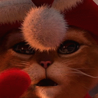 крахина катя