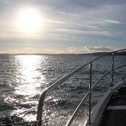 🇵🇸🇺🇦Tim Trent 🇺🇦🇵🇸