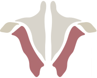 Institute of Human Anatomy