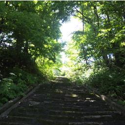 たろちゃんのひろば