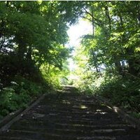 たろちゃんのひろば