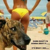 Mysteriously Unnamed