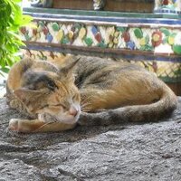 LOTOくじ分析ラボ