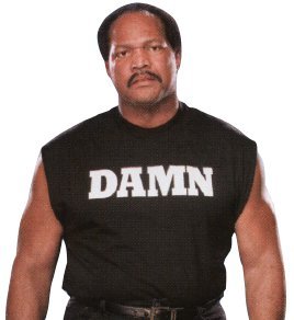 Ron Simmons 