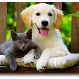 Travel to Better Health