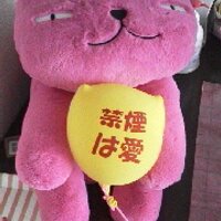 旅にゃんころ代表代行（ツナ活🐟）