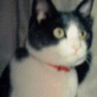 中村明古@断捨離中