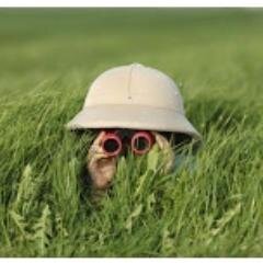 @SoldadosAbandonados 🇪🇦