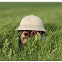 @SoldadosAbandonados 🇪🇦