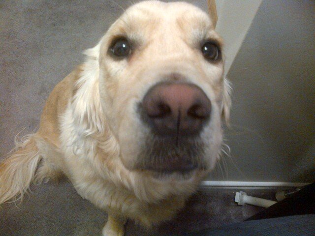 Peter (that is actually my pic) Ivanyi