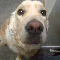 Peter (that is actually my pic) Ivanyi