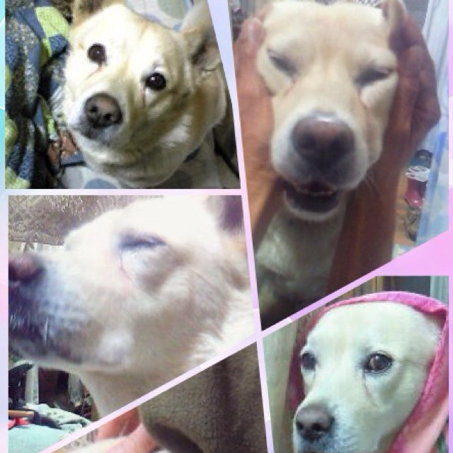 おたまじゃくすん