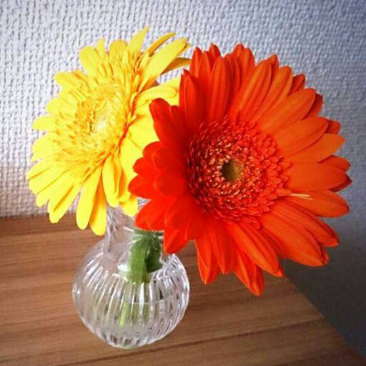 あやこ / 作業療法士