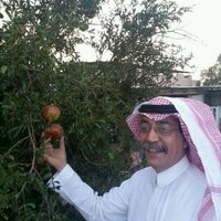 seraj A. alkamal