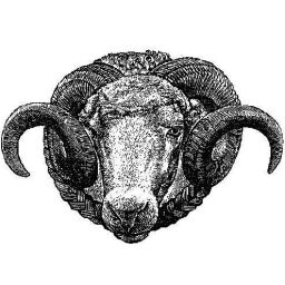 Ramrugge Clog Morris