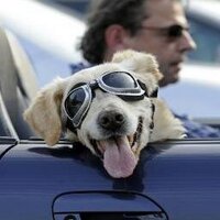 Deplorable Garbage Petr@ does it matter?