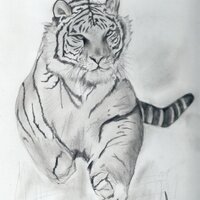 Mariana Martinez Paz