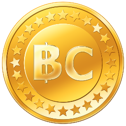 The BitCoiner