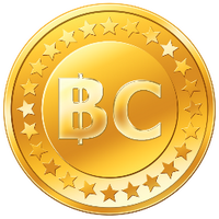 The BitCoiner