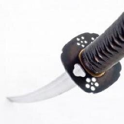 🇯🇵切れた刀🏍️戯風遊道 地雷(パネマジ)♨️